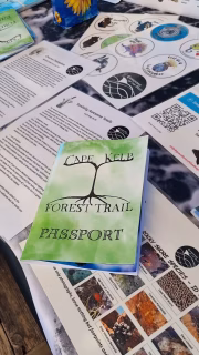 The @cape_kelp_forest_trail launched on Friday at @thekelpshack, bringing together a diverse group of organisations working with kelp in a sustainable way and contributing to science, biodiversity and marine protection. Well done to @guardiansofthedeep.oceanlegacy for initiating a wonderful project. We can't wait for the launch of the Kelp Festival next year!#kelp #capekelpforesttrail #kommetjielife