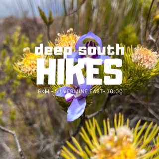 Late summer is a glorious time to explore the trails with @deepsouthhikes – who run free community-based hikes *for the adventurous* from Cape Point to Silvermine and beyond, around the Southern Peninsula.⁠⁠Dogs are welcome, agility dependent (and of course pack loads of water - for you and your furry friends).⁠⁠📲 TO JOIN: find the link to the Whatsapp group at kommetjielife.com/whats-on or DM @deepsouthhikes on Instagram⁠⁠⛰️ NEXT HIKE:⁠⁠Sunday - HIGH STEENBERG | SILVERMINE EAST⁠⁠22/02/2026⁠Arrive 09:45 | Strut off at 10:00 sharp⁠±8km | ±3 hours of mountain magic⁠Moderate — delightfully undulating, never dull⁠⁠Meeting Point: Silvermine Gate 2 — the boom at the east end of the parking area⁠⁠This is a polished little circular number — panoramic views, rolling climbs, and that satisfying “I earned this” glow by the end. Perfect for the solid intermediate who enjoys a bit of sass in their stride.⁠⁠Dogs: Welcome (activity permit required — civilisation matters).⁠Trail info: https://www.alltrails.com/explore/trail/south-africa/western-cape/high-steenberg-via-silvermine-gate-2⁠⁠☔ Rain calls it off — check in by 08:00 if the weather looks theatrical.⁠🎒 Bring proper kit, water, and snacks that spark joy.⁠☕ We’ll pause at Fat Lady’s Cave for tea and snacks⁠🌸 On botanical watch for blue and cluster disas.⁠⁠All hikes at your own risk. We curate the adventure; you bring the good sense.⁠⁠Drop a 👍 if you’re joining the elevation celebration.⁠⁠#deepsouthhikes #kommetjiesummerguide #lovecapetown #capetownhikes